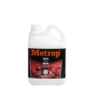 Metrop MR2 BLOOM