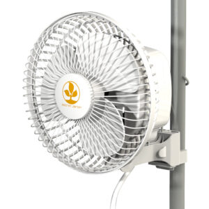 Secret Jardin Monkey Fan MF016