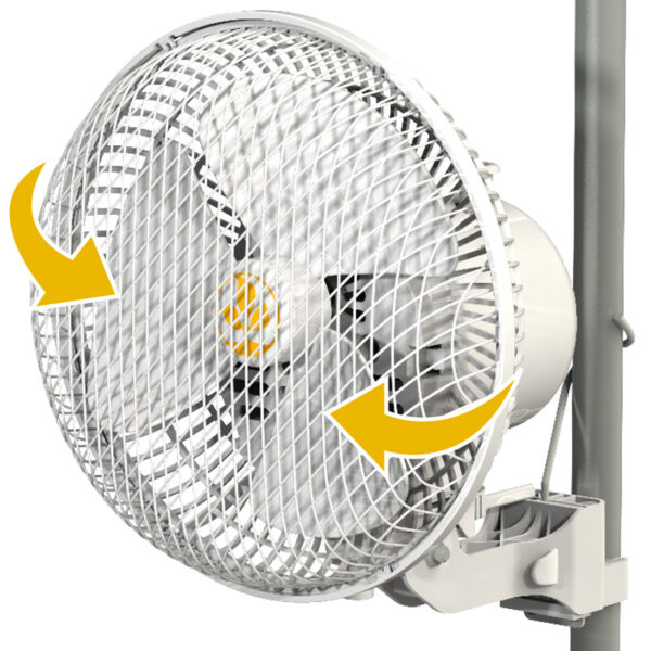 Secret Jardin Monkey Fan MF016