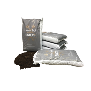 BAC Lava Soil