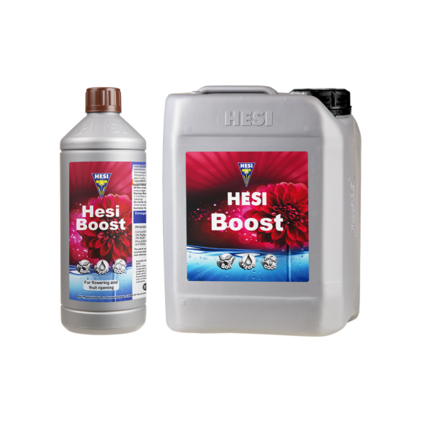 Hesi Boost