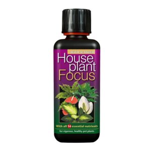 Growth Technology Houseplant Focus