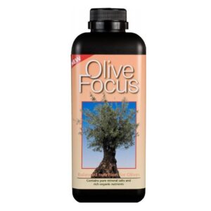 Growth Technology Olive Focus