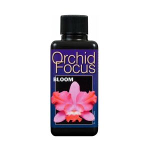 Growth Technology Orchid Focus Bloom