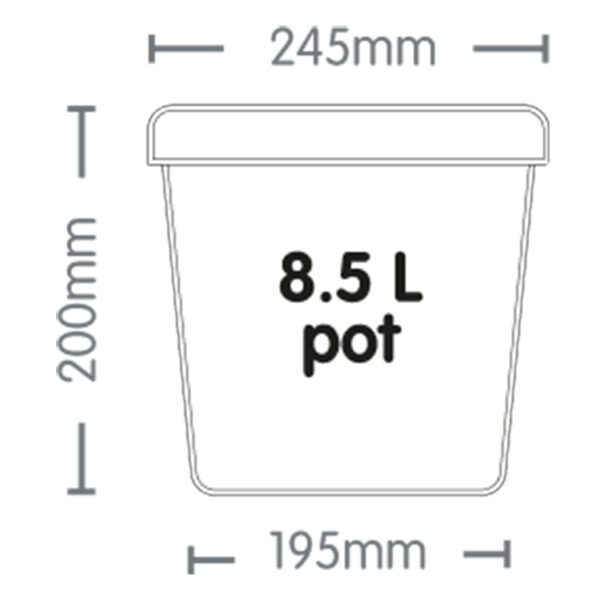 AutoPot Vasi BIANCHI