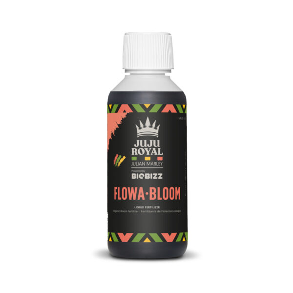 Juju Royal FLOWA BLOOM