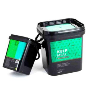 Mycoterra KELP MEAL